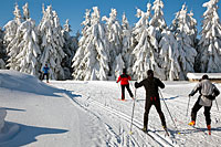 Langlaufen im Bayerischen Wald