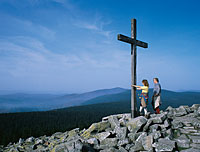 Bayerwaldberg Lusen Bayerischer Wald