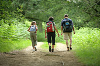 Wandern im Bayerischen Wald