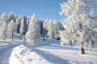 Winterferien in Bayern